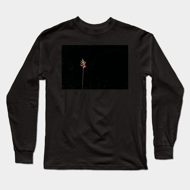 Yellow and red heliconia flower on black background  caught in sunlight Long Sleeve T-Shirt by brians101